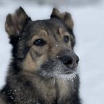 Ирина Геннадьевна