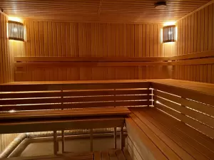 Фотография Камыши 3