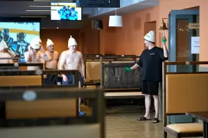 Фотография Камыши 4