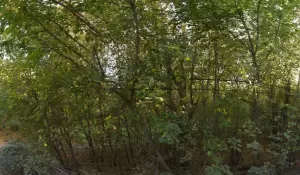 Фотография № 21 0